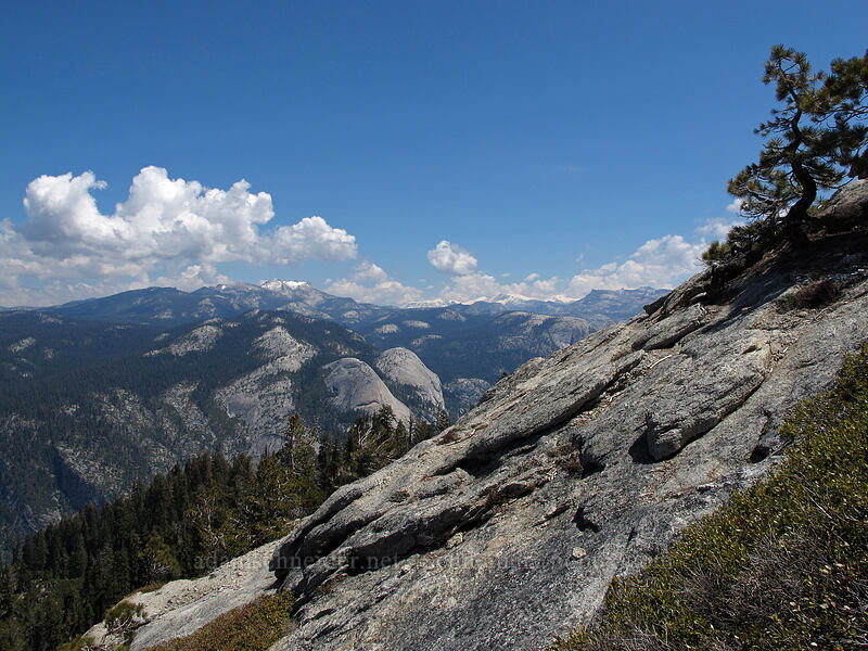 Mt. Hoffman, North Dome, & Basket Dome [Sentinel Dome, Yosemite National Park, Mariposa County, California]
