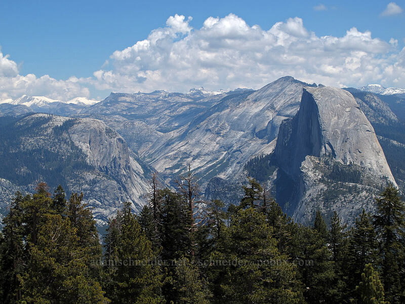 Half Dome & Tenaya Canyon [Sentinel Dome, Yosemite National Park, Mariposa County, California]