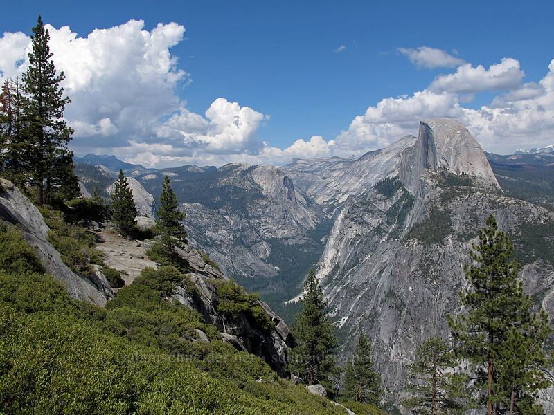 Half Dome & Tenaya Canyon [Glacier Point Trail, Yosemite National Park, Mariposa County, California]