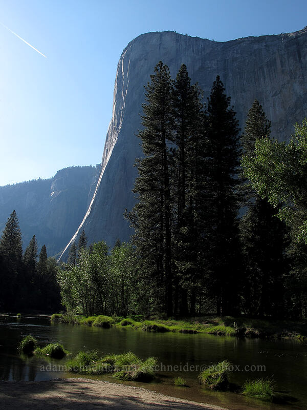 El Capitan & the Merced River [Cathedral Beach, Yosemite National Park, Mariposa County, California]