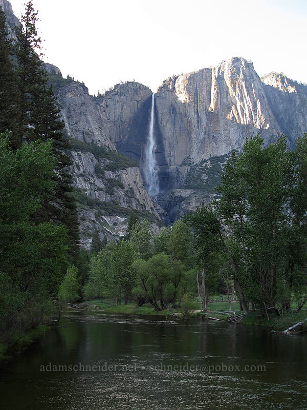 Yosemite Falls & the Merced River [Swinging Bridge, Yosemite National Park, Mariposa County, California]