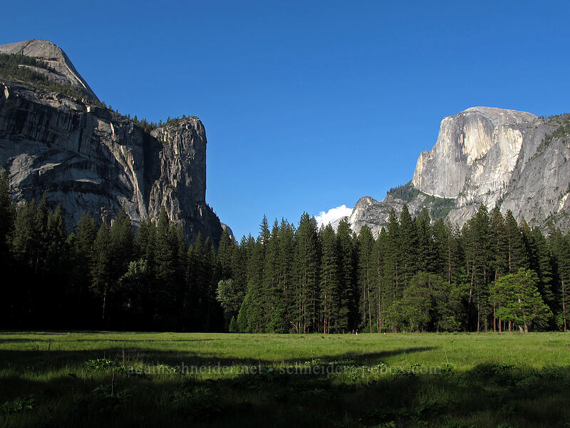 Washington Column & Half Dome [Stoneman Meadow, Yosemite National Park, Mariposa County, California]