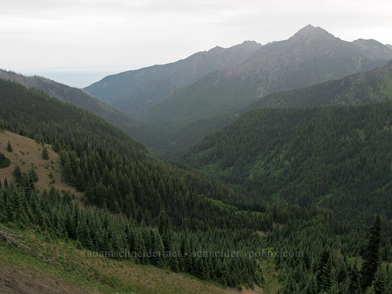 Mt. Angeles & South Branch Little River [Hurricane Hill Trail, Olympic National Park, Clallam County, Washington]
