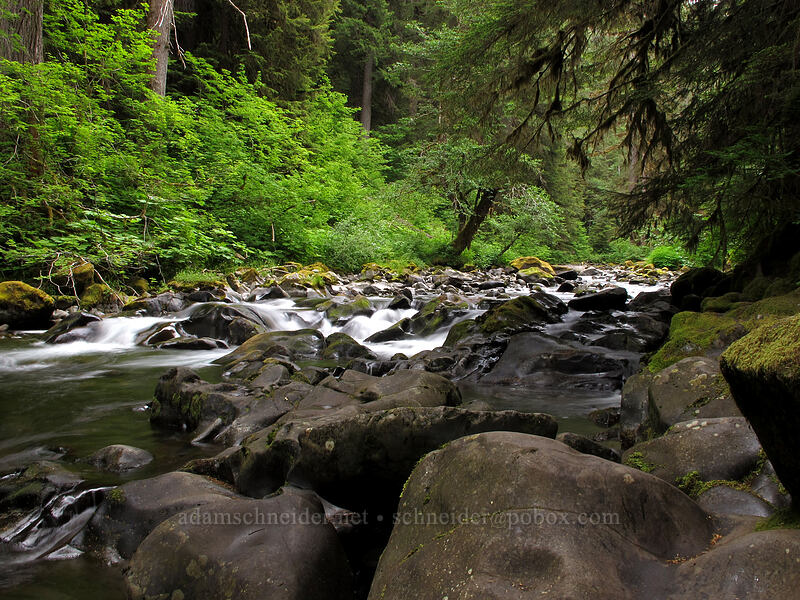 Sol Duc River [Sol Duc Trail, Olympic National Park, Clallam County, Washington]
