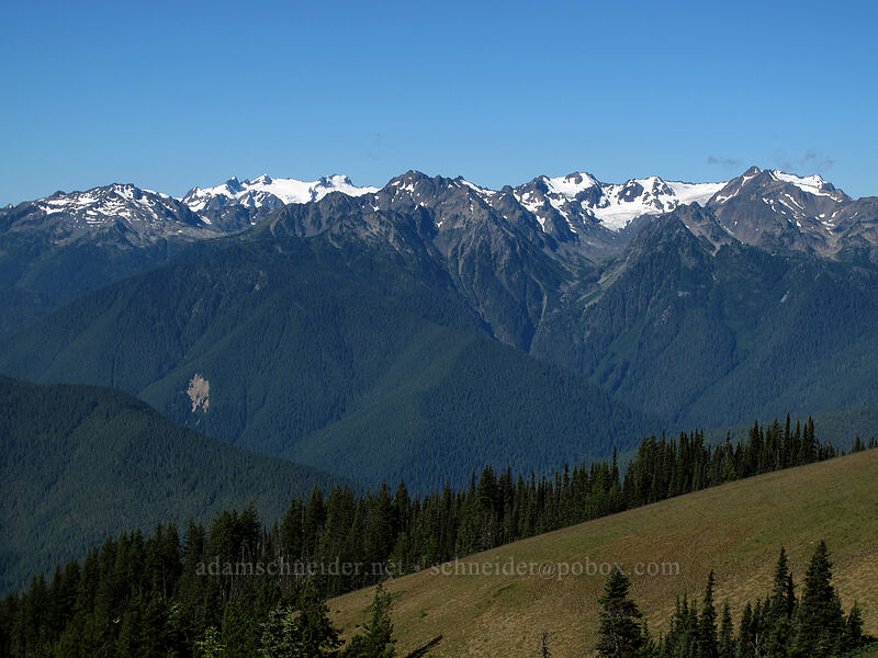 Mt. Olympus & the Bailey Range [Hurricane Ridge, Olympic National Park, Clallam County, Washington]