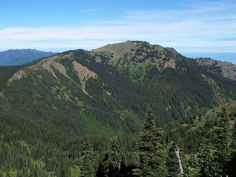 Hurricane Hill [Hurricane Ridge, Olympic National Park, Clallam County, Washington]