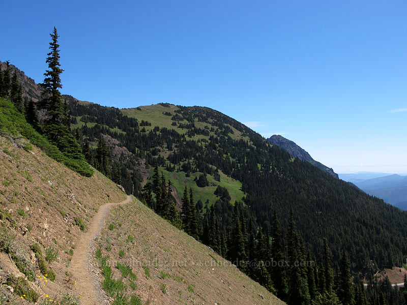 Klahhane Ridge [Klahhane Ridge Trail, Olympic National Park, Clallam County, Washington]
