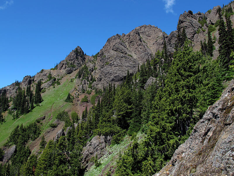cliffs below Mt. Angeles [Switchback Trail, Olympic National Park, Clallam County, Washington]