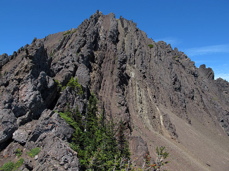 Mt. Angeles [Mount Angeles, Olympic National Park, Clallam County, Washington]