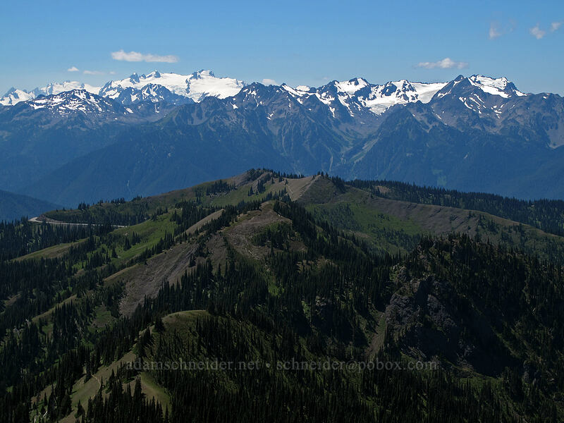 Mt. Olympus, Mt. Carrie, & Hurricane Ridge [Mount Angeles, Olympic National Park, Clallam County, Washington]