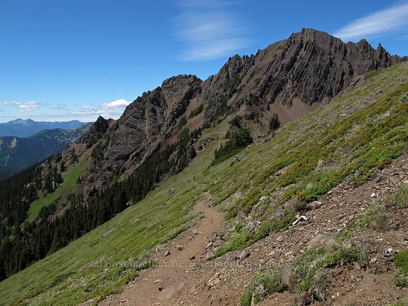 Mt. Angeles [Lake Angeles Trail, Olympic National Park, Clallam County, Washington]
