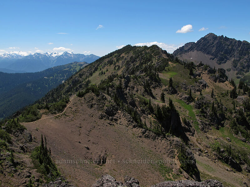 Klahhane Ridge & Mt. Angeles [Lake Angeles Trail, Olympic National Park, Clallam County, Washington]