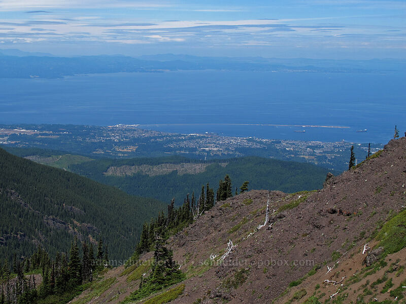 Port Angeles & Victoria [Lake Angeles Trail, Olympic National Park, Clallam County, Washington]