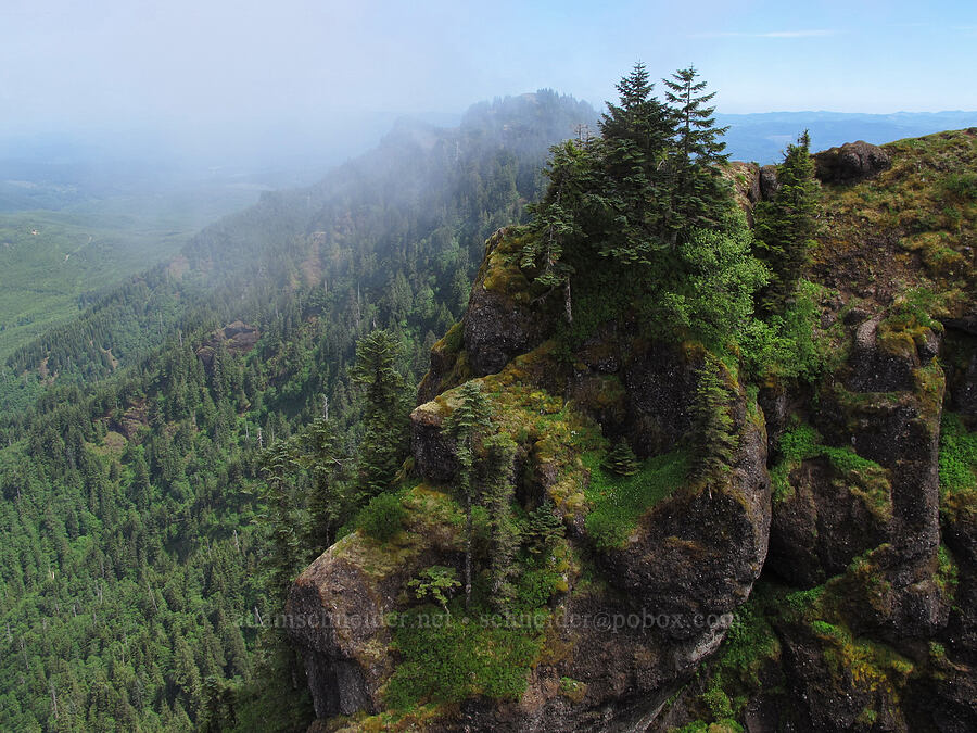 sharp ridges [Saddle Mountain summit, Clatsop County, Oregon]