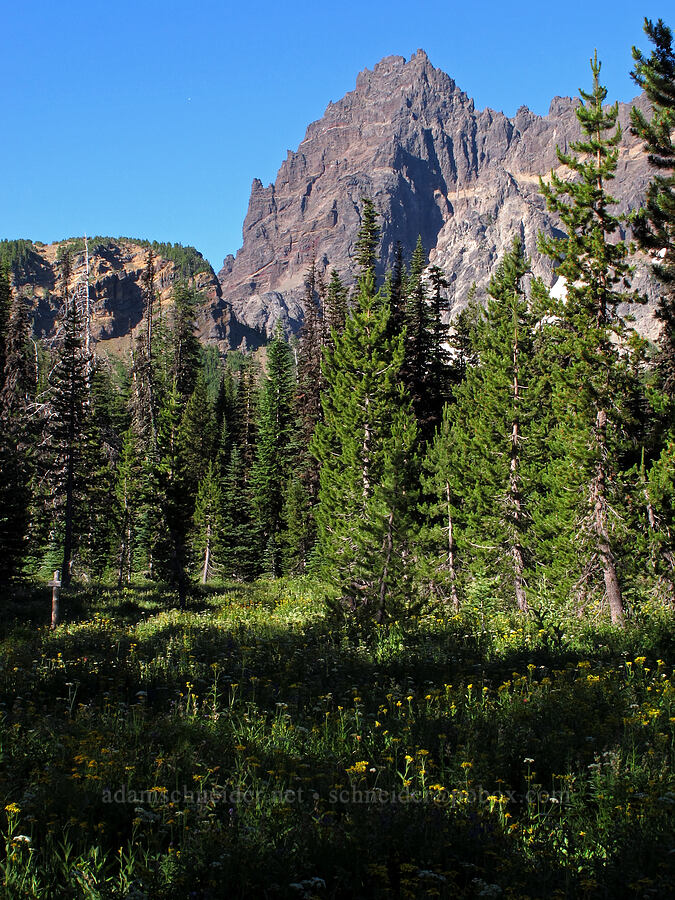 Three-Fingered Jack [Canyon Creek Meadows, Mt. Jefferson Wilderness, Jefferson County, Oregon]