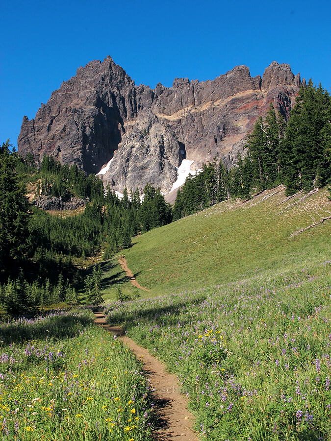 Three-Fingered Jack & Canyon Creek Meadows [Canyon Creek Meadows, Mt. Jefferson Wilderness, Jefferson County, Oregon]