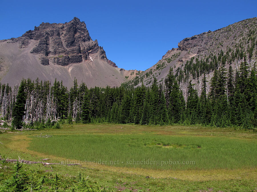 dried-up pond [First Creek Meadows, Mt. Jefferson Wilderness, Jefferson County, Oregon]
