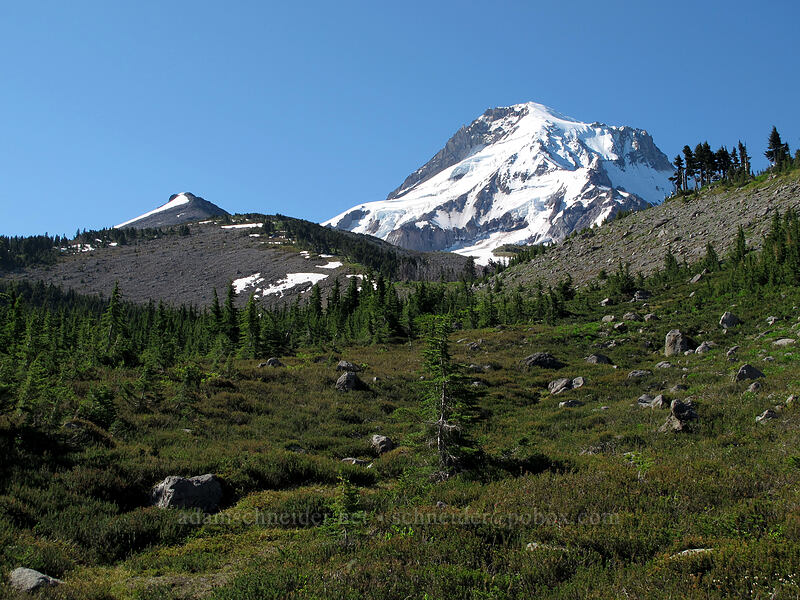 Barrett Spur & Mount Hood [Vista Ridge Trail, Mt. Hood Wilderness, Hood River County, Oregon]