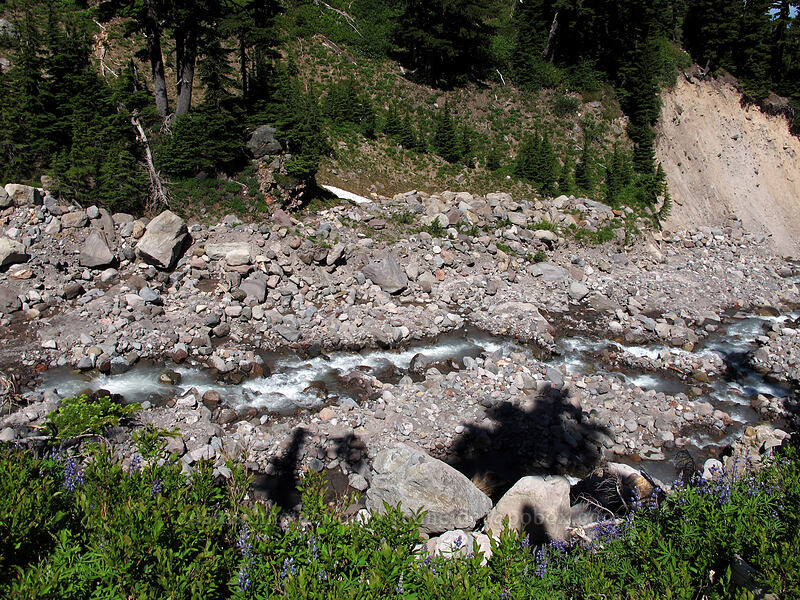 Ladd Creek [Timberline Trail, Mt. Hood Wilderness, Hood River County, Oregon]