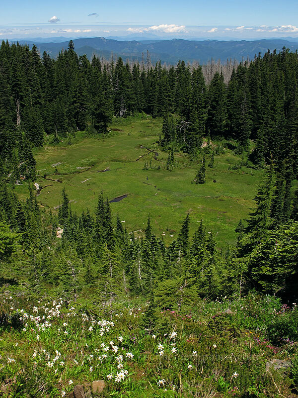 Eden Park [Eden Park Trail, Mt. Hood Wilderness, Hood River County, Oregon]