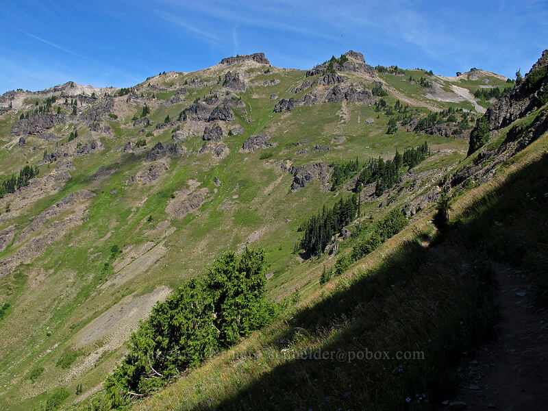 ridge above Jordan Basin [Goat Ridge Trail, Goat Rocks Wilderness, Lewis County, Washington]