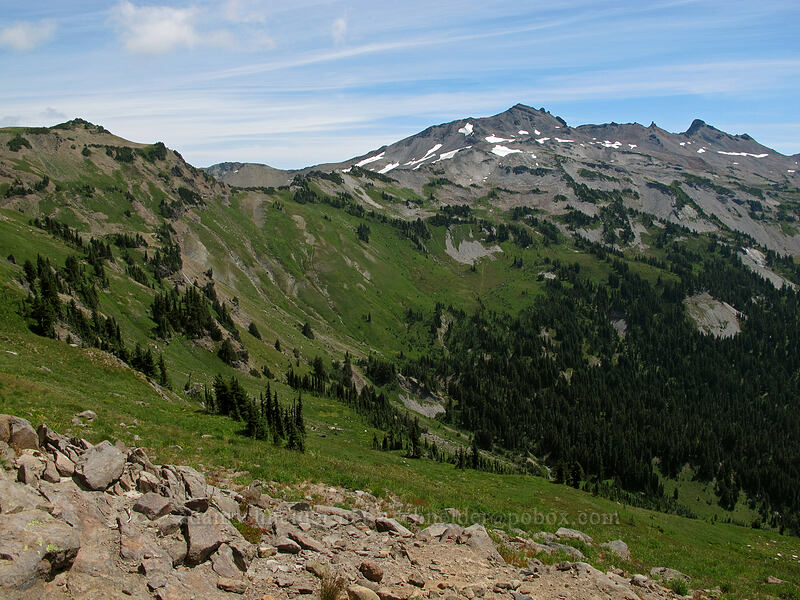 upper Goat Creek Valley [Lily Basin Trail, Goat Rocks Wilderness, Lewis County, Washington]