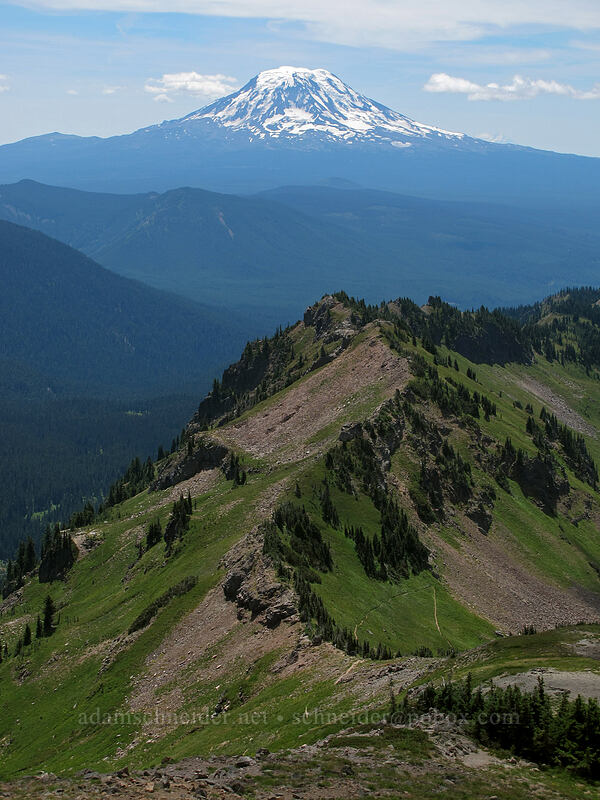 Mt. Adams & Goat Ridge [Hawkeye Point Trail, Goat Rocks Wilderness, Lewis County, Washington]