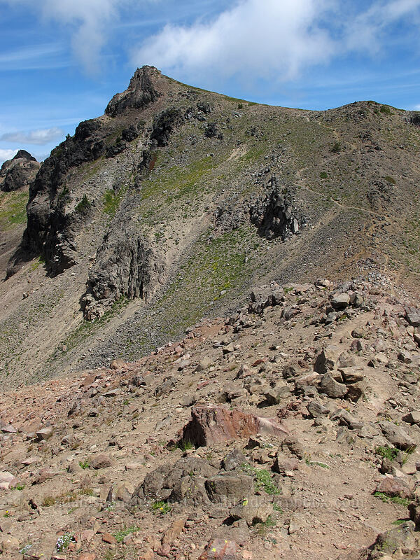 Hawkeye Point [Hawkeye Point Trail, Goat Rocks Wilderness, Lewis County, Washington]
