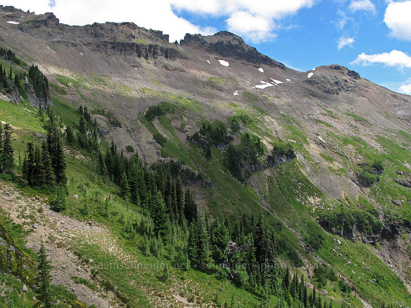 Johnson Creek Basin & Hawkeye Point [Lily Basin Trail, Goat Rocks Wilderness, Lewis County, Washington]