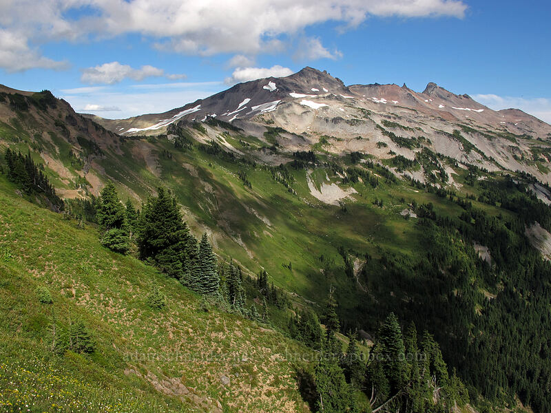 Old Snowy, Ives Peak, & Goat Creek Valley [Lily Basin Trail, Goat Rocks Wilderness, Lewis County, Washington]