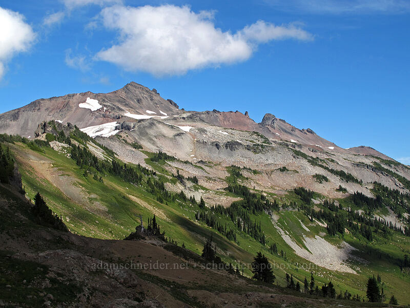 Old Snowy Mountain & Ives Peak [Lily Basin Trail, Goat Rocks Wilderness, Lewis County, Washington]