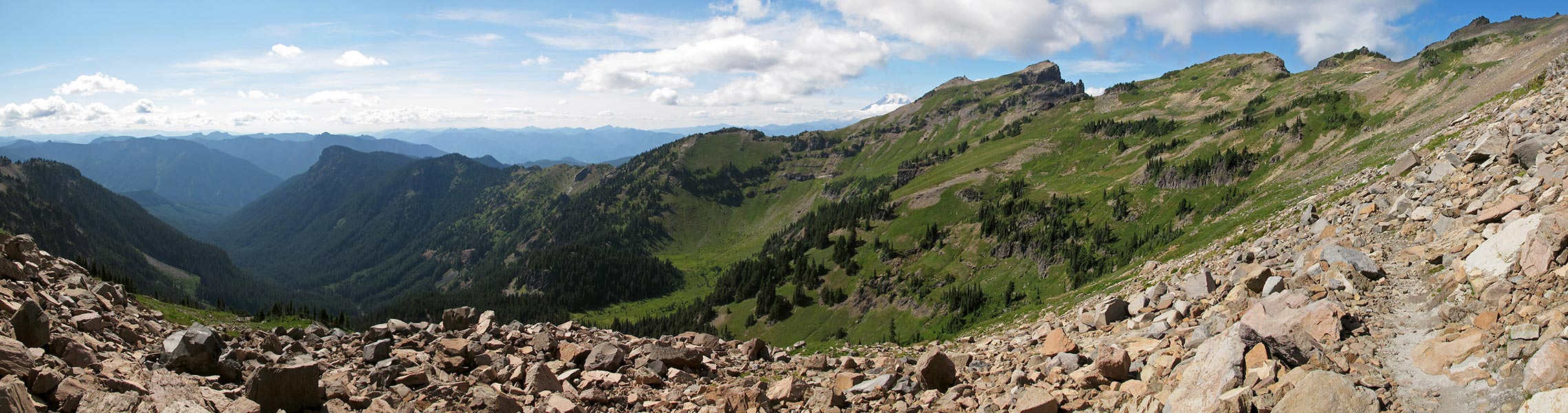 Johnson Creek Basin panorama [Lily Basin Trail, Goat Rocks Wilderness, Lewis County, Washington]