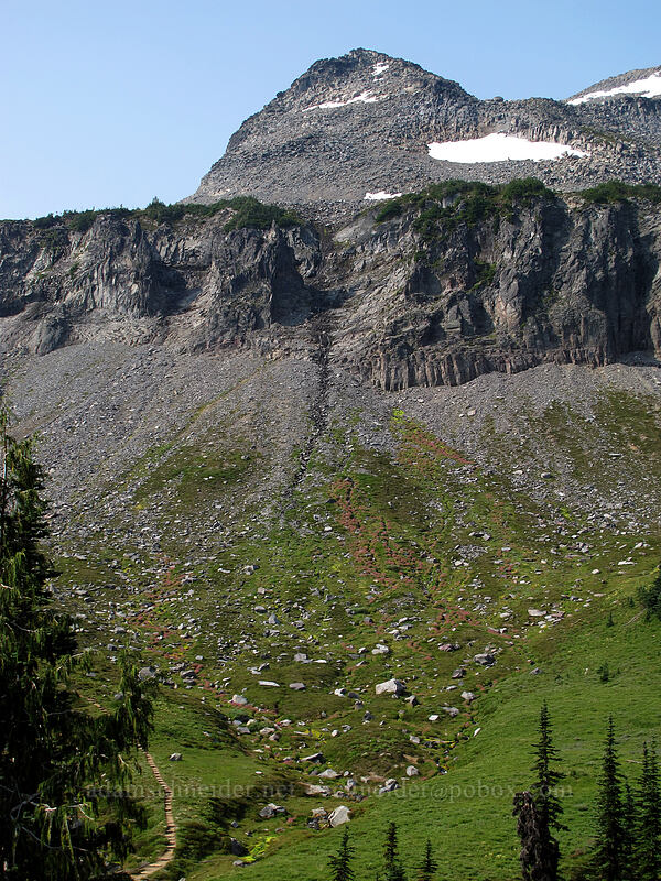 Meany Crest [Summerland, Mt. Rainier National Park, Pierce County, Washington]
