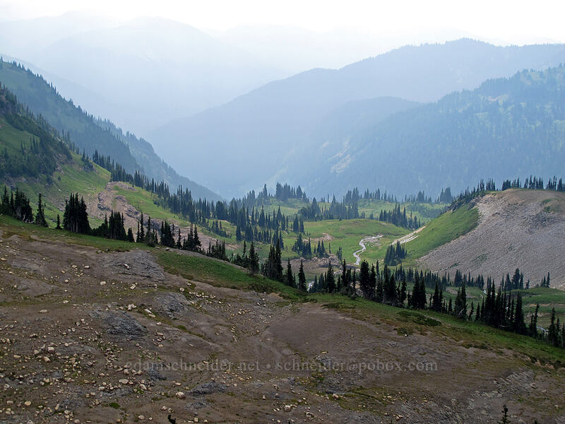 Ohanapecosh Park [Panhandle Gap, Mt. Rainier National Park, Pierce County, Washington]