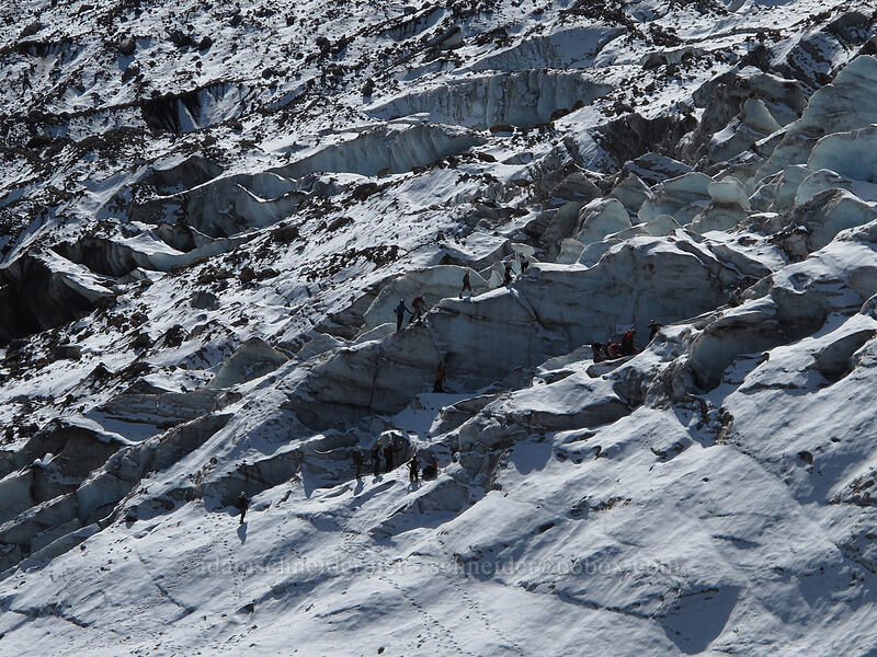 crevasse rescue practice [Eliot Glacier moraine, Mt. Hood Wilderness, Hood River County, Oregon]