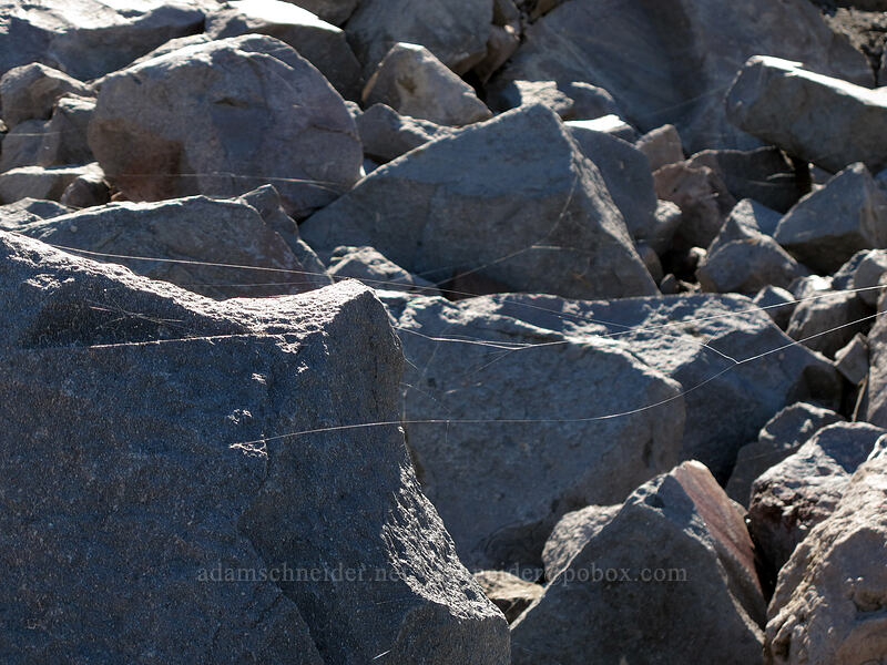 gossamer [below Langille Glacier, Mt. Hood Wilderness, Hood River County, Oregon]