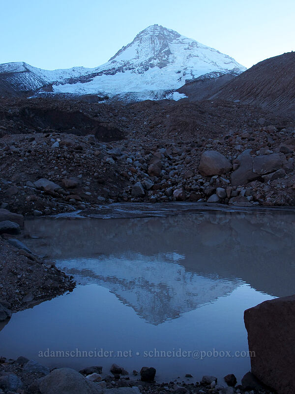 Mount Hood, reflected [Timberline Trail, Mt. Hood Wilderness, Hood River County, Oregon]