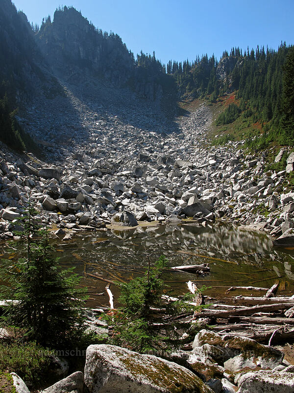 pond below Surprise Mountain [Pacific Crest Trail, Alpine Lakes Wilderness, King County, Washington]