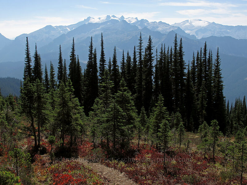Mt. Daniel & Mt. Hinman [Surprise Mountain Trail, Alpine Lakes Wilderness, King County, Washington]