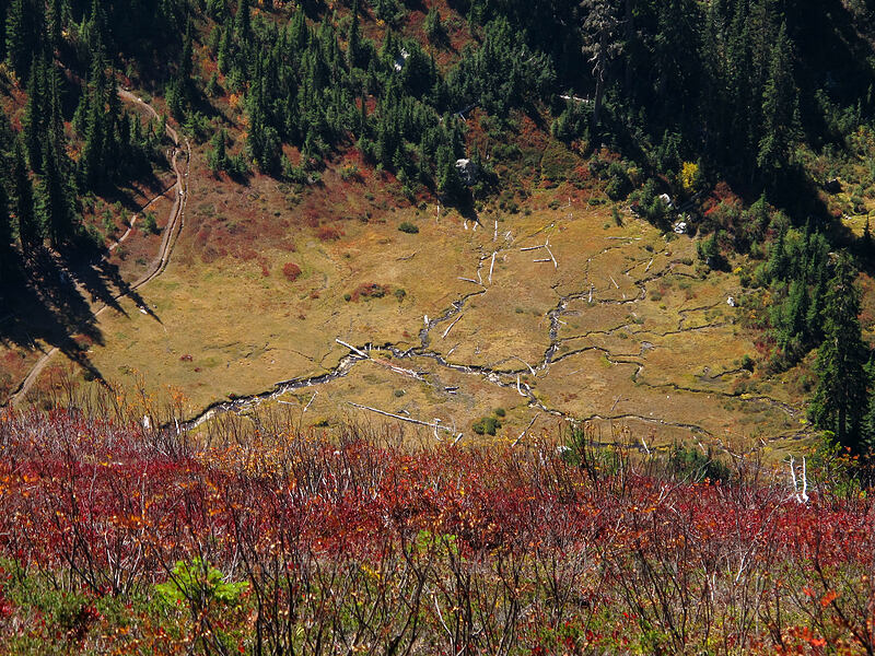 basin above Lake Valhalla [Mt. McCausland, Henry M. Jackson Wilderness, Chelan County, Washington]