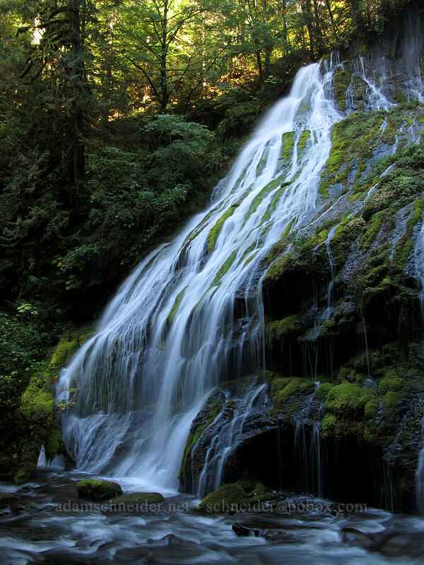 Panther Creek Falls [Panther Creek Falls, Gifford Pinchot National Forest, Skamania County, Washington]