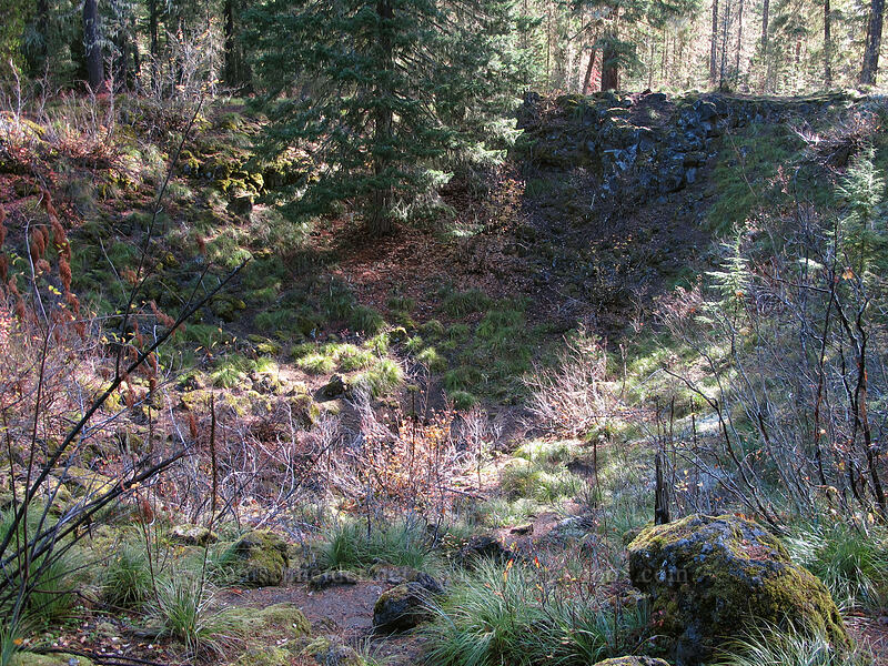 pit #1 [Falls Creek Cave, Gifford Pinchot National Forest, Skamania County, Washington]