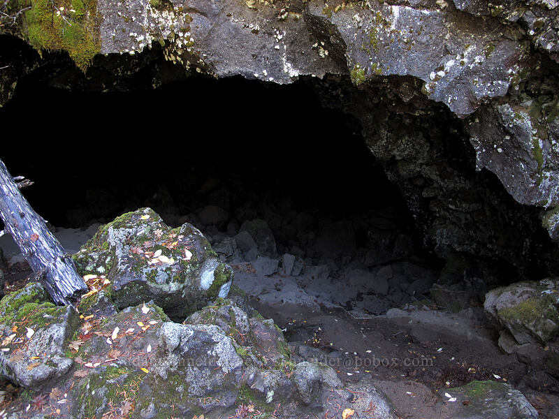 cave entrance [Falls Creek Cave, Gifford Pinchot National Forest, Skamania County, Washington]
