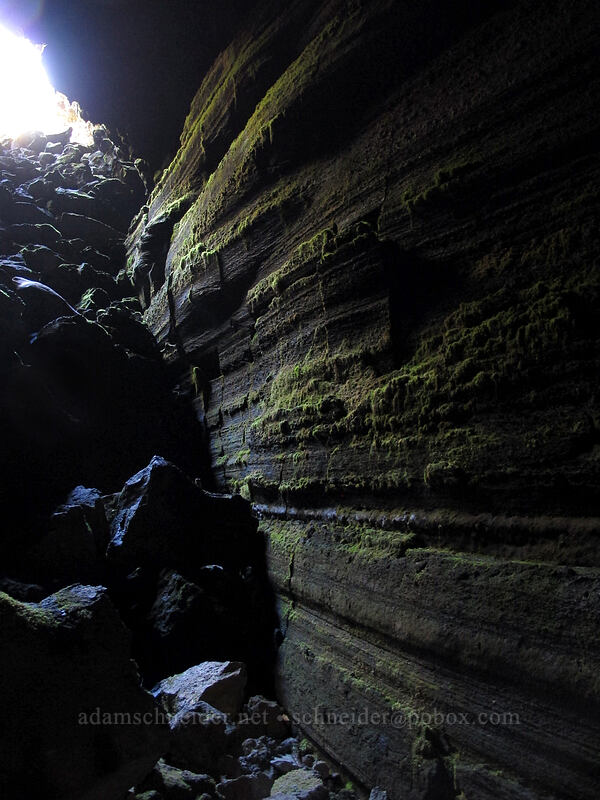 cave entrance & wall [Falls Creek Cave, Gifford Pinchot National Forest, Skamania County, Washington]