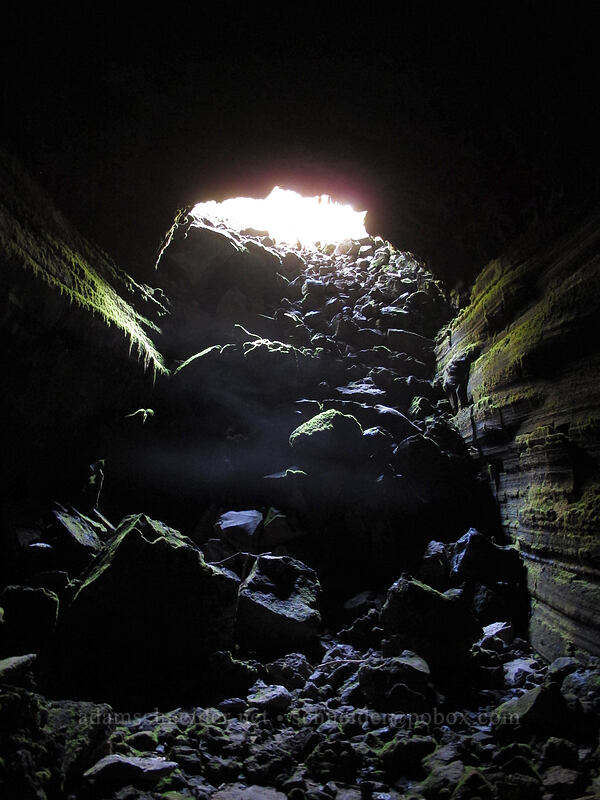 fog in the cave entrance [Falls Creek Cave, Gifford Pinchot National Forest, Skamania County, Washington]