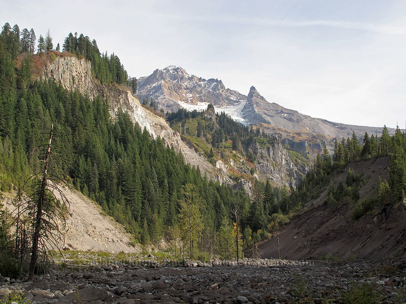 Mount Hood [Pacific Crest Trail, Mt. Hood Wilderness, Clackamas County, Oregon]