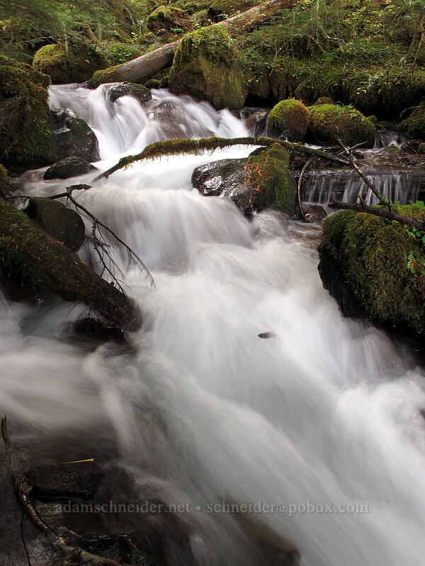 Rushingwater Creek [Pacific Crest Trail, Mt. Hood Wilderness, Clackamas County, Oregon]