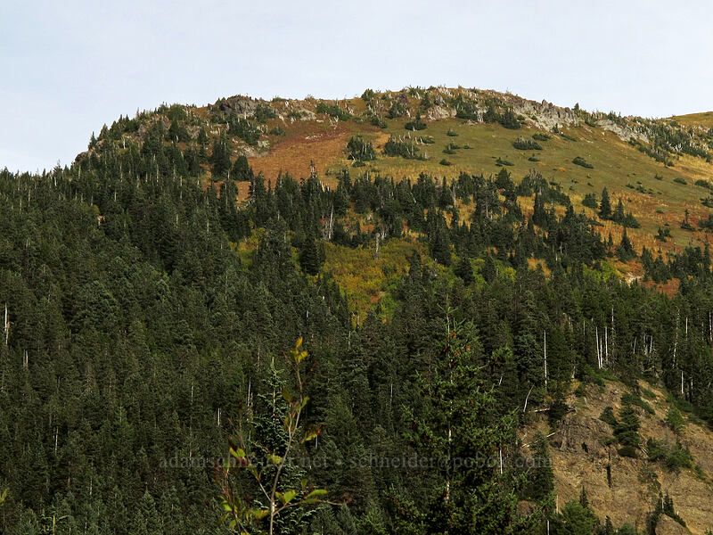 McNeil Point [Pacific Crest Trail, Mt. Hood Wilderness, Clackamas County, Oregon]