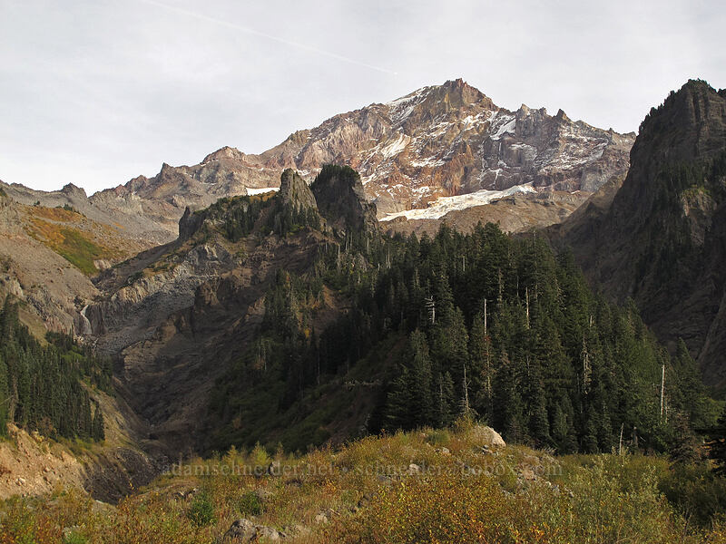 Mount Hood [Pacific Crest Trail, Mt. Hood Wilderness, Clackamas County, Oregon]