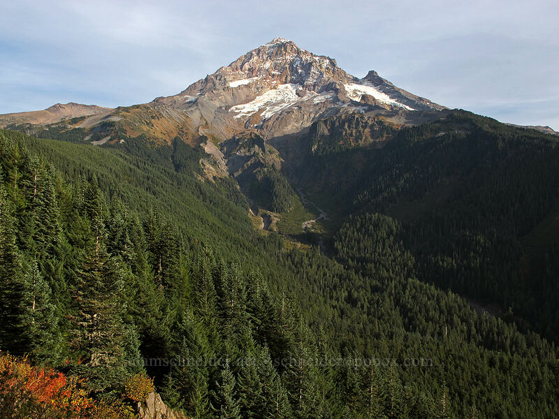 Mount Hood [Bald Mountain, Mt. Hood Wilderness, Clackamas County, Oregon]